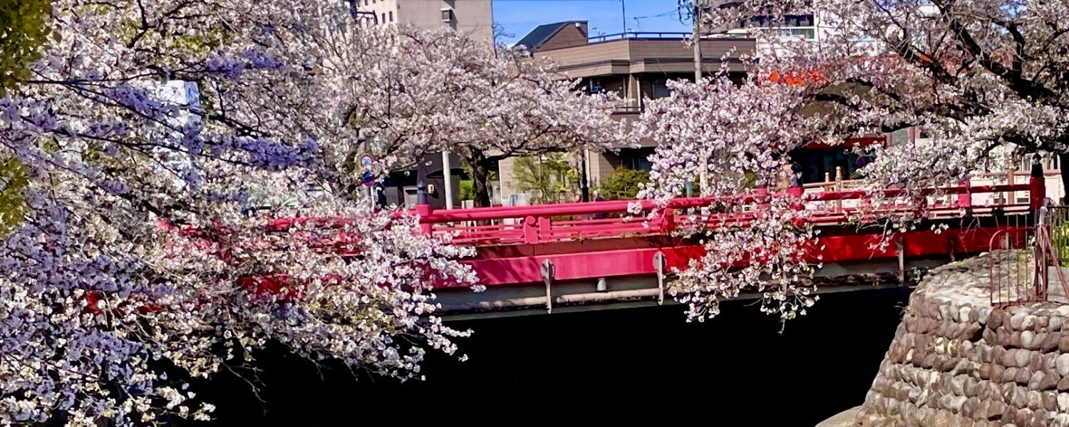 特定非営利活動法人フードバンクぎふ